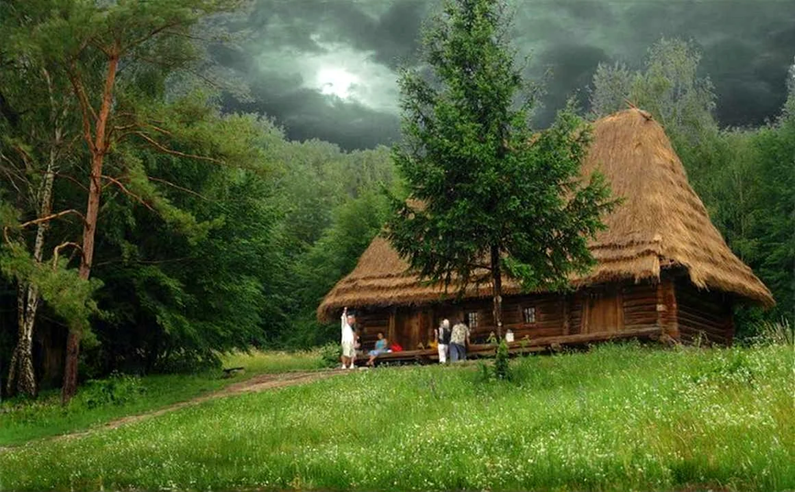 Дом на опушке леса