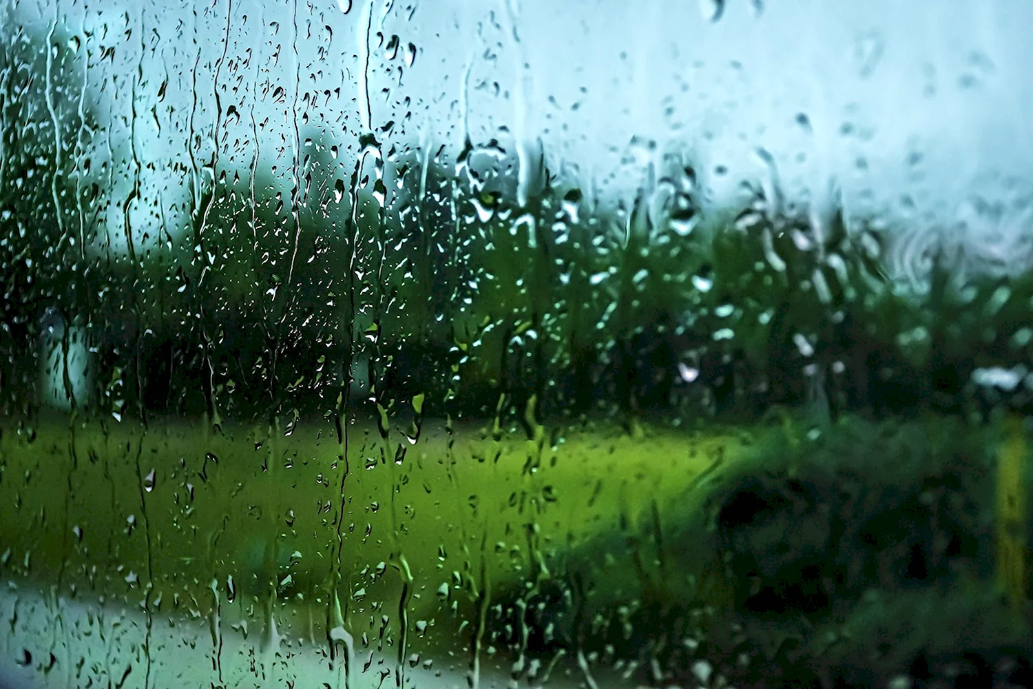 Дождь