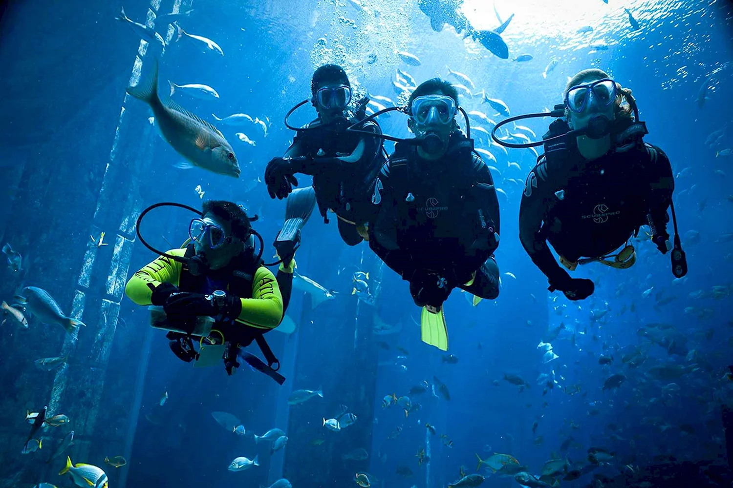 Дубай Атлантис аквариум дайвинг