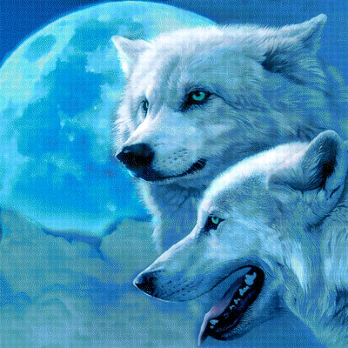 Два белых волка