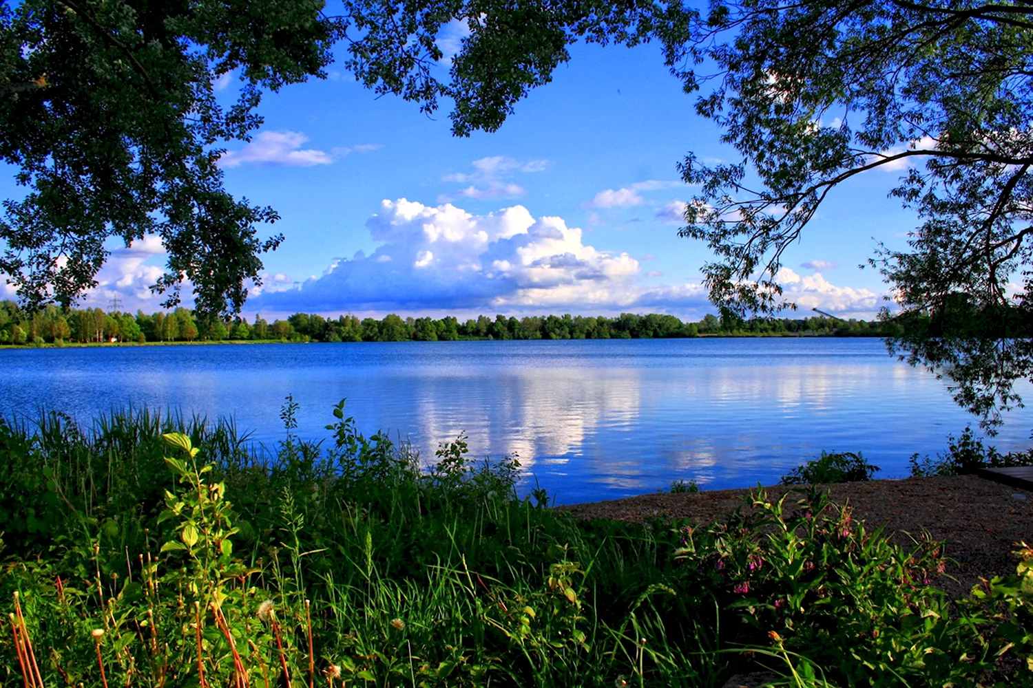 Елизаровское озеро