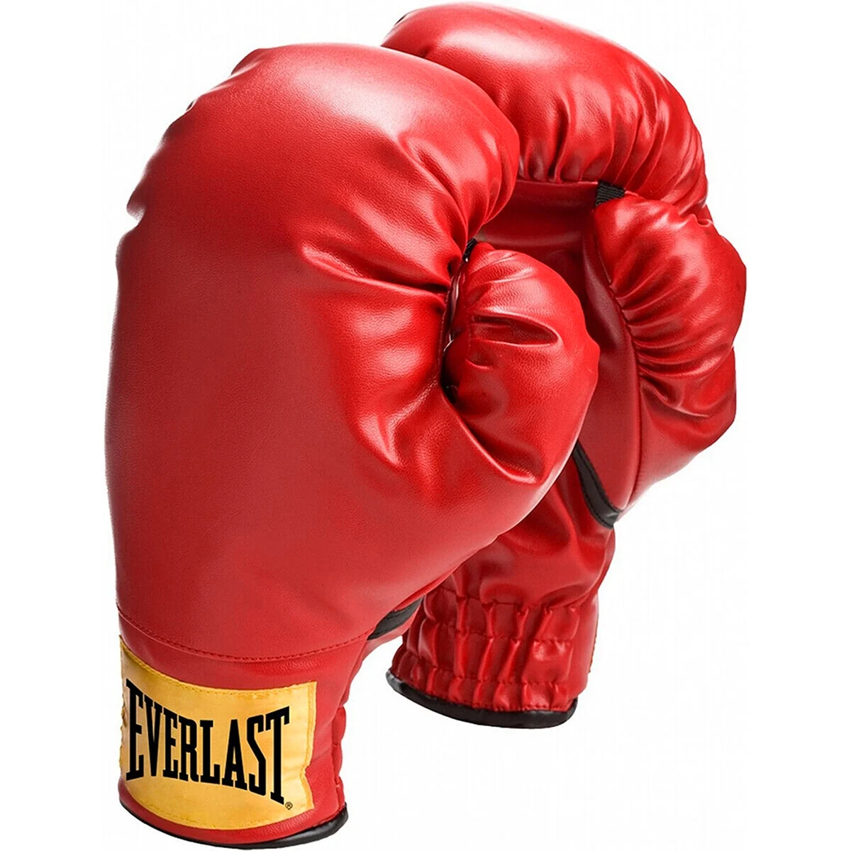 Everlast Boxing Gloves small