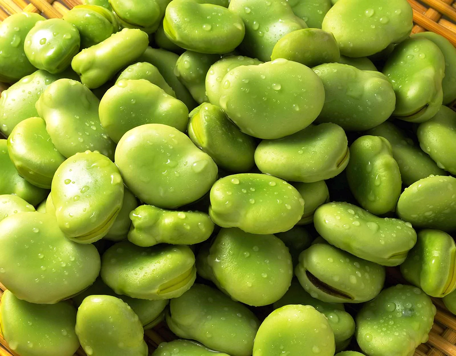 Fava Beans фасоль