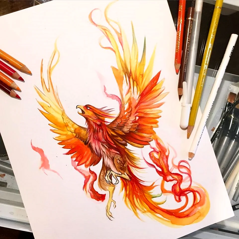 Phoenix 69