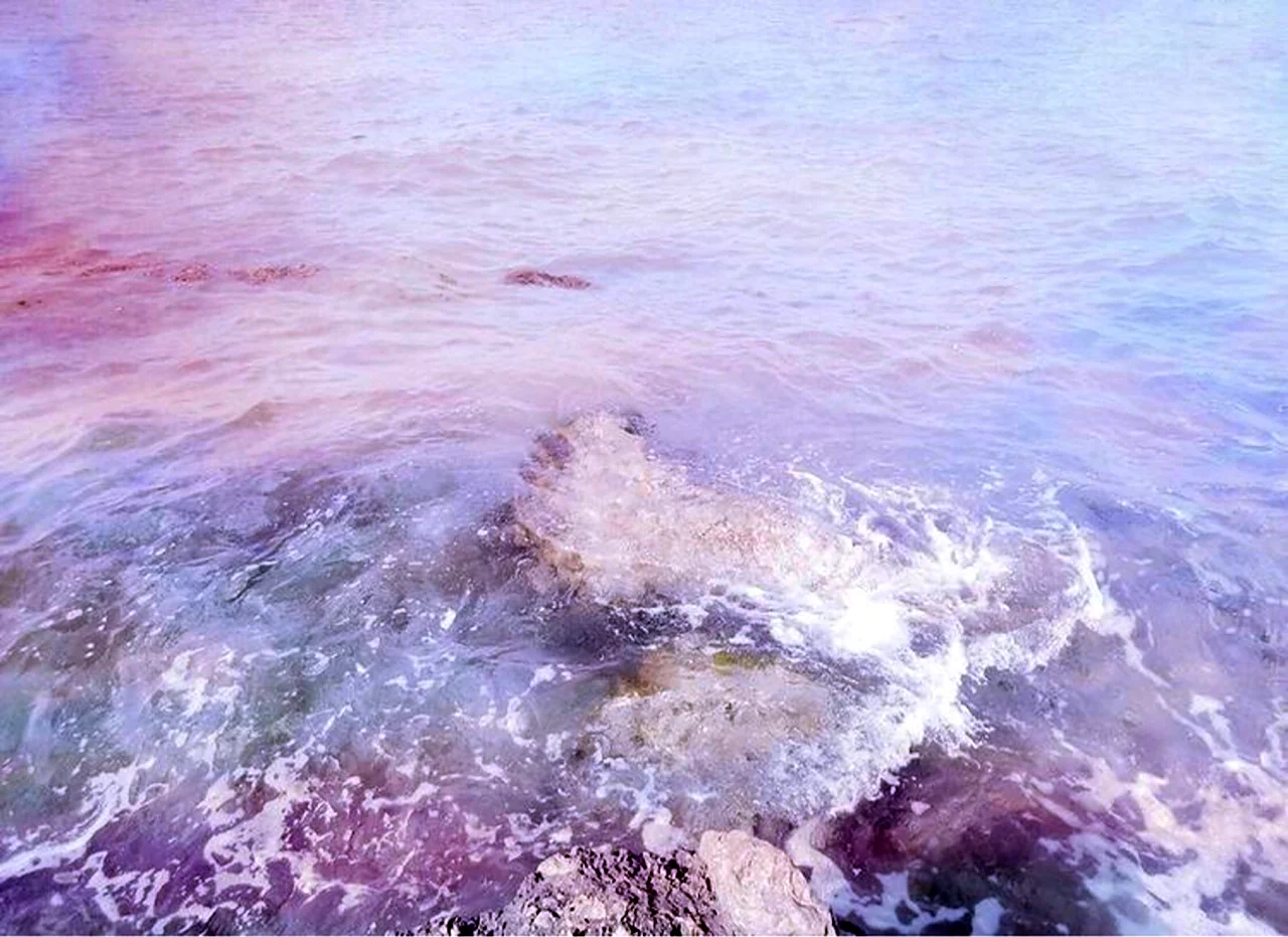 Фиолетовое море Эстетика