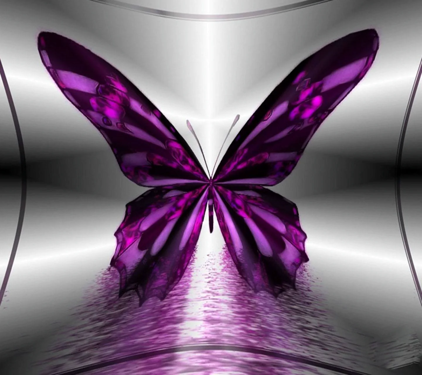 Фиолетовые бабочки существуют
