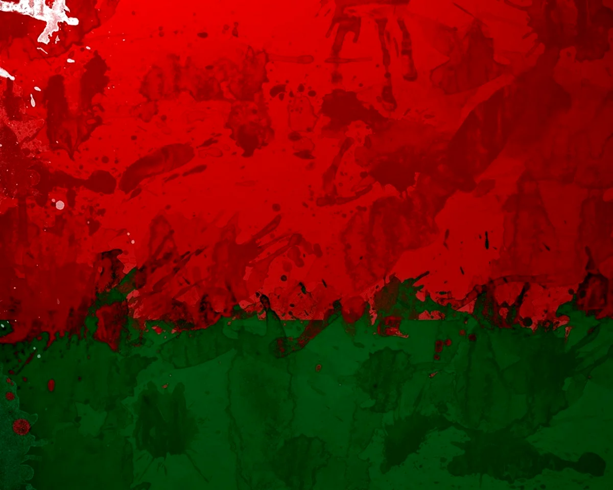 Флаг Беларуси 1920
