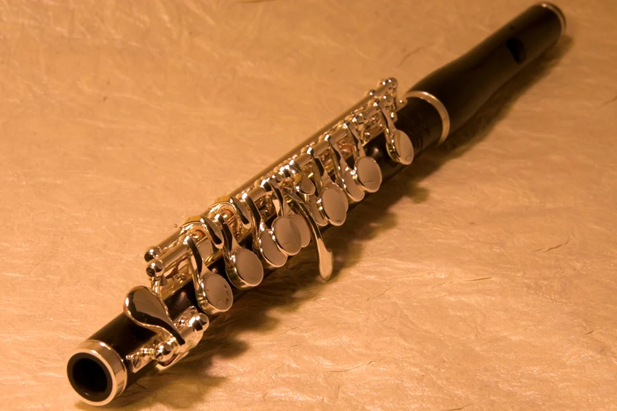 Флейта Пикколо музыкальный инструмент