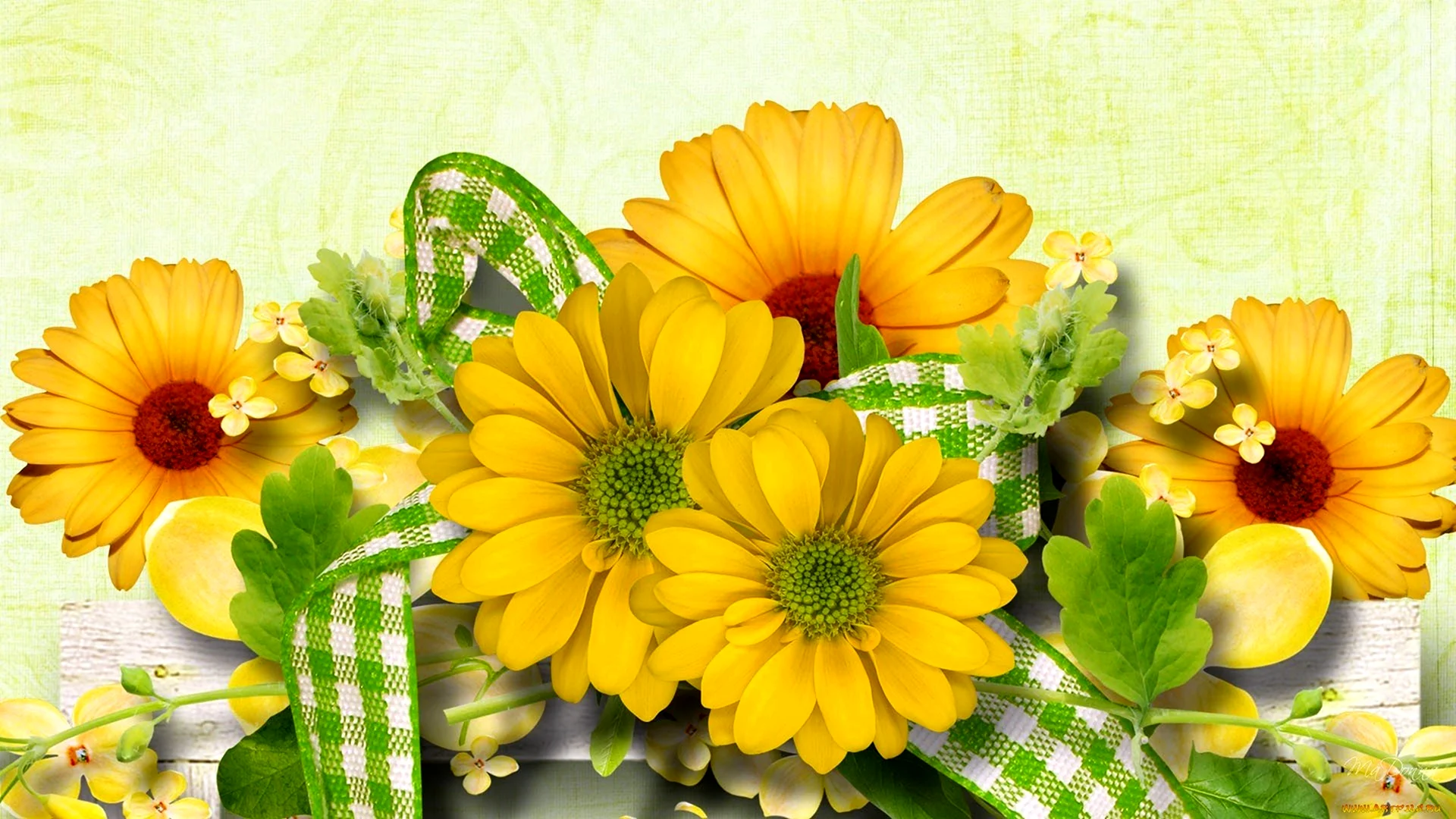 Фон для открытки с желтыми хризантемами