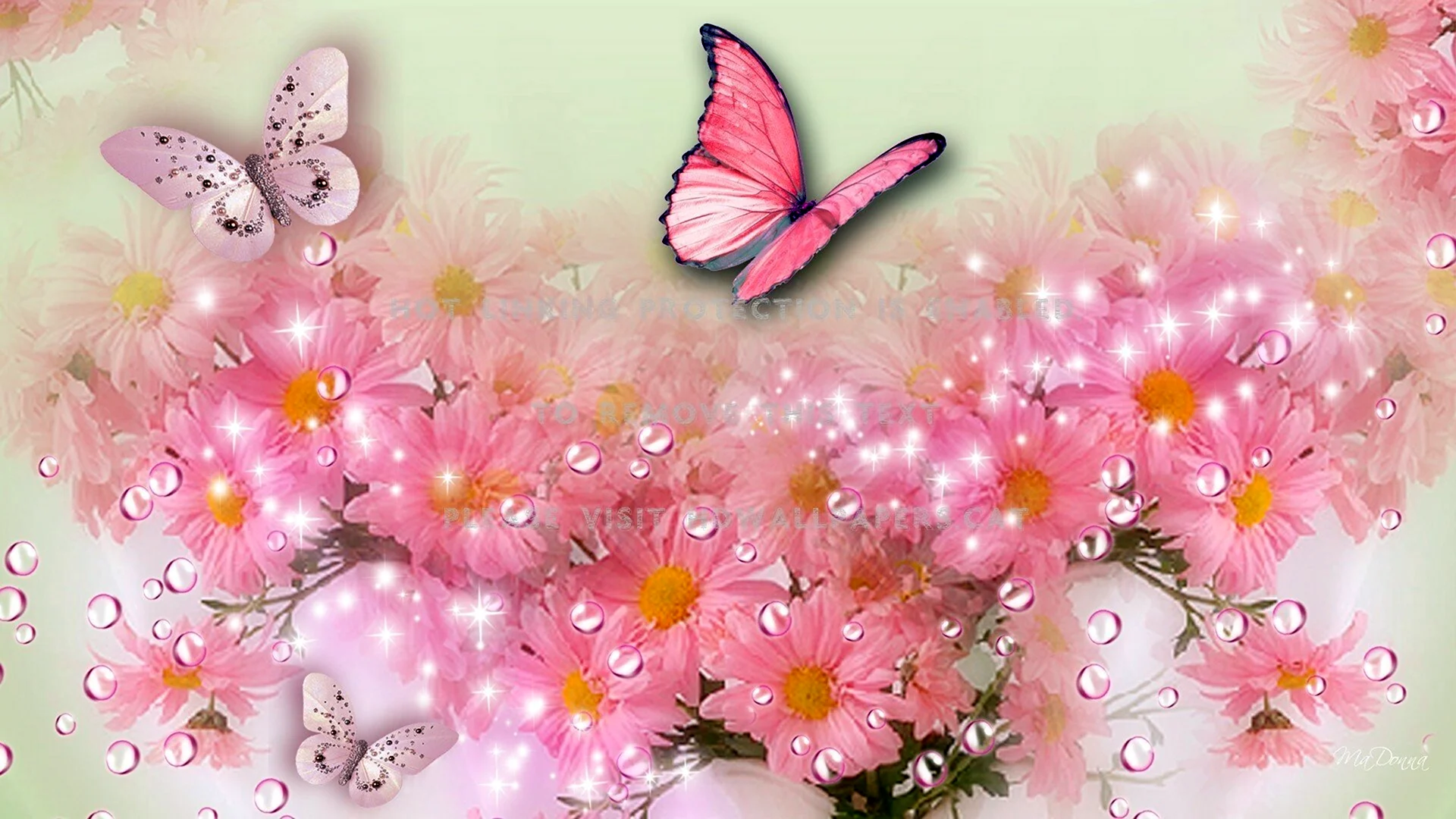 Фон розовый цветы бабочки