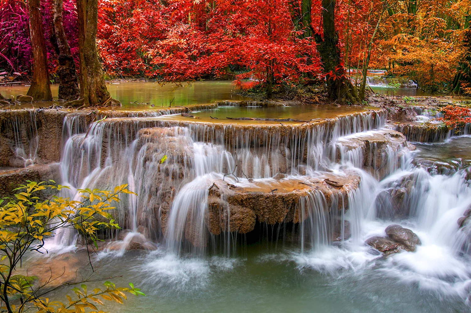 Фотообои водопад деревья