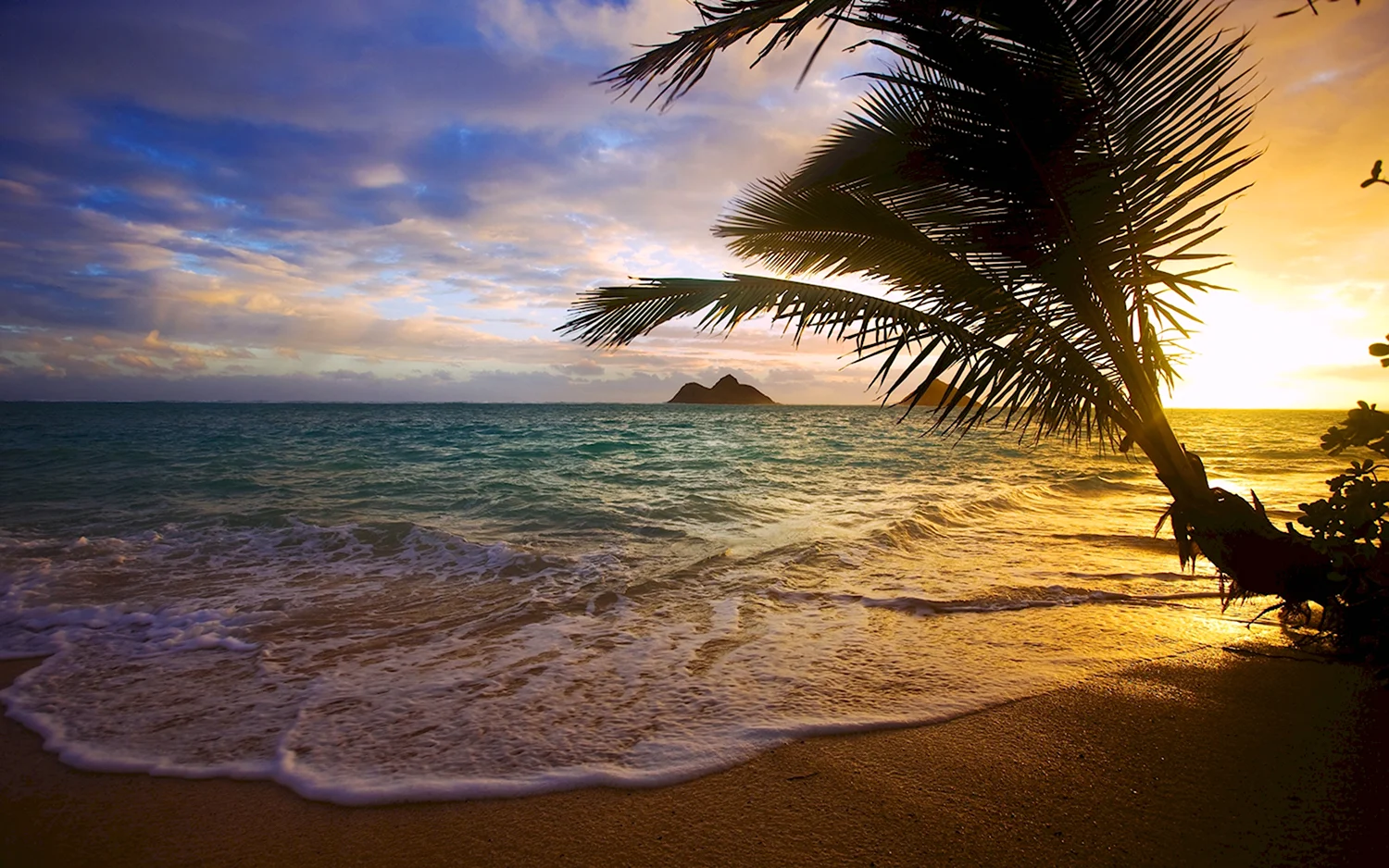 Гавайи закат пальмы океан