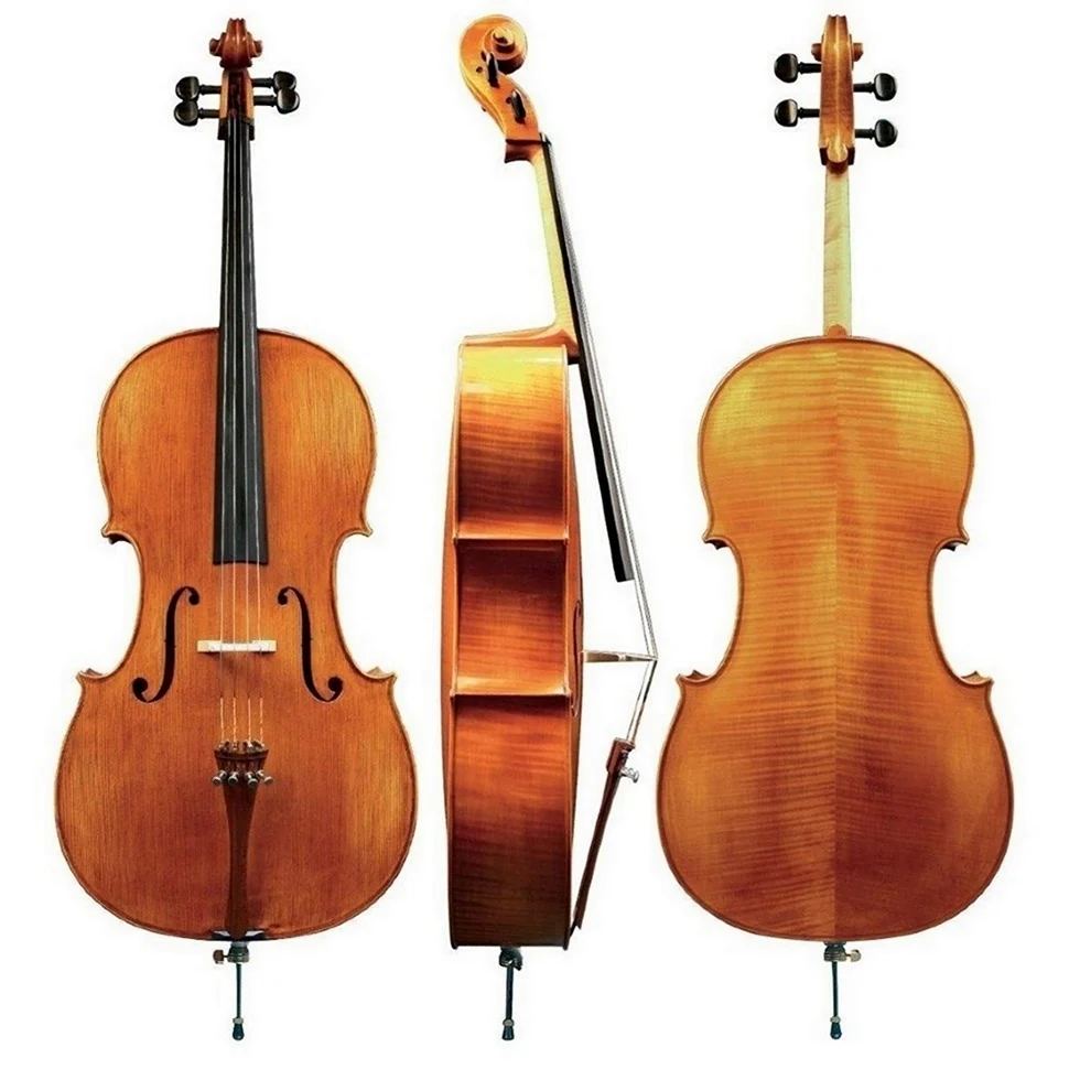 Gewa Cello Maestro 6