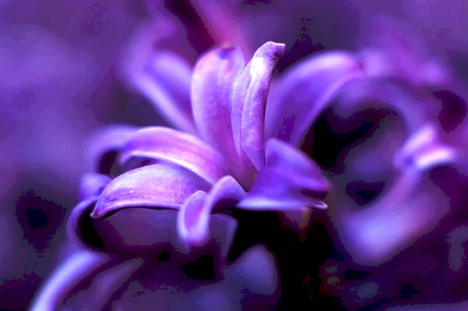 Глубокий фиолетовый