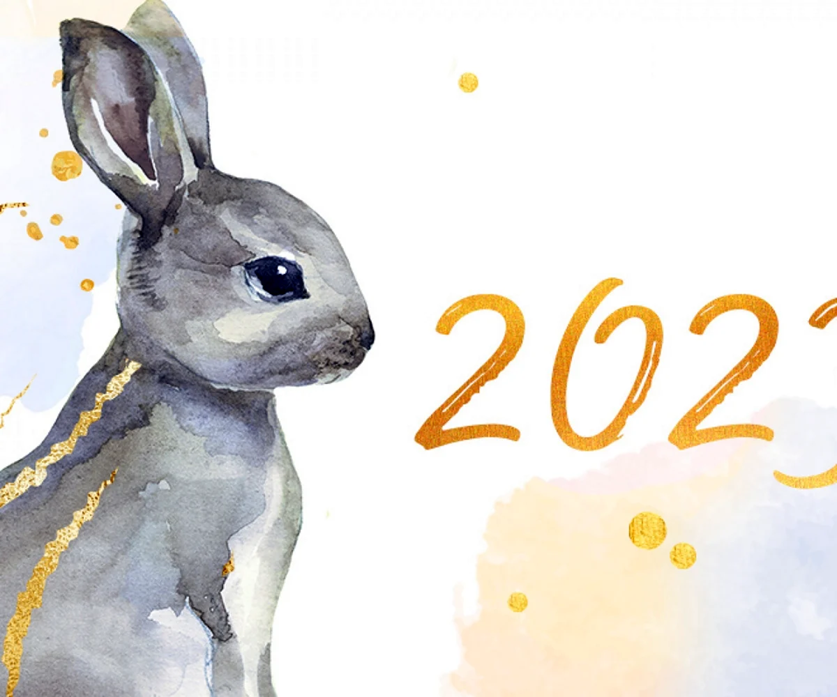 Год кролика 2023