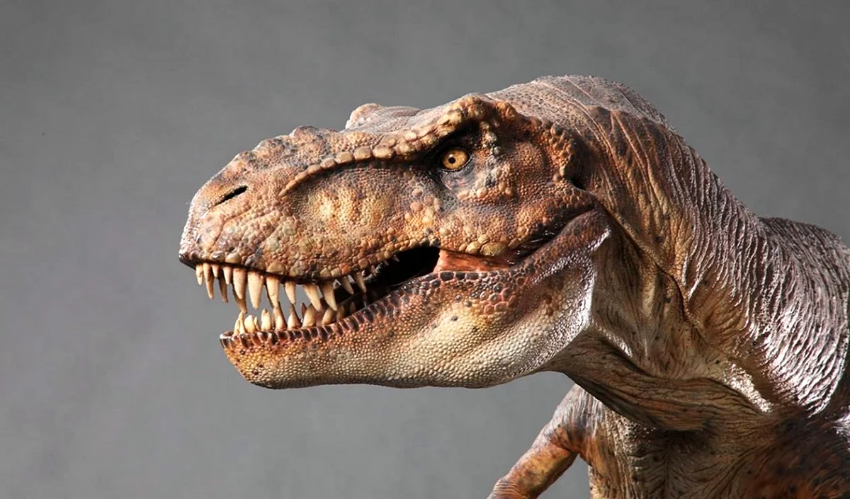 Голова тираннозавра парк Юрского периода
