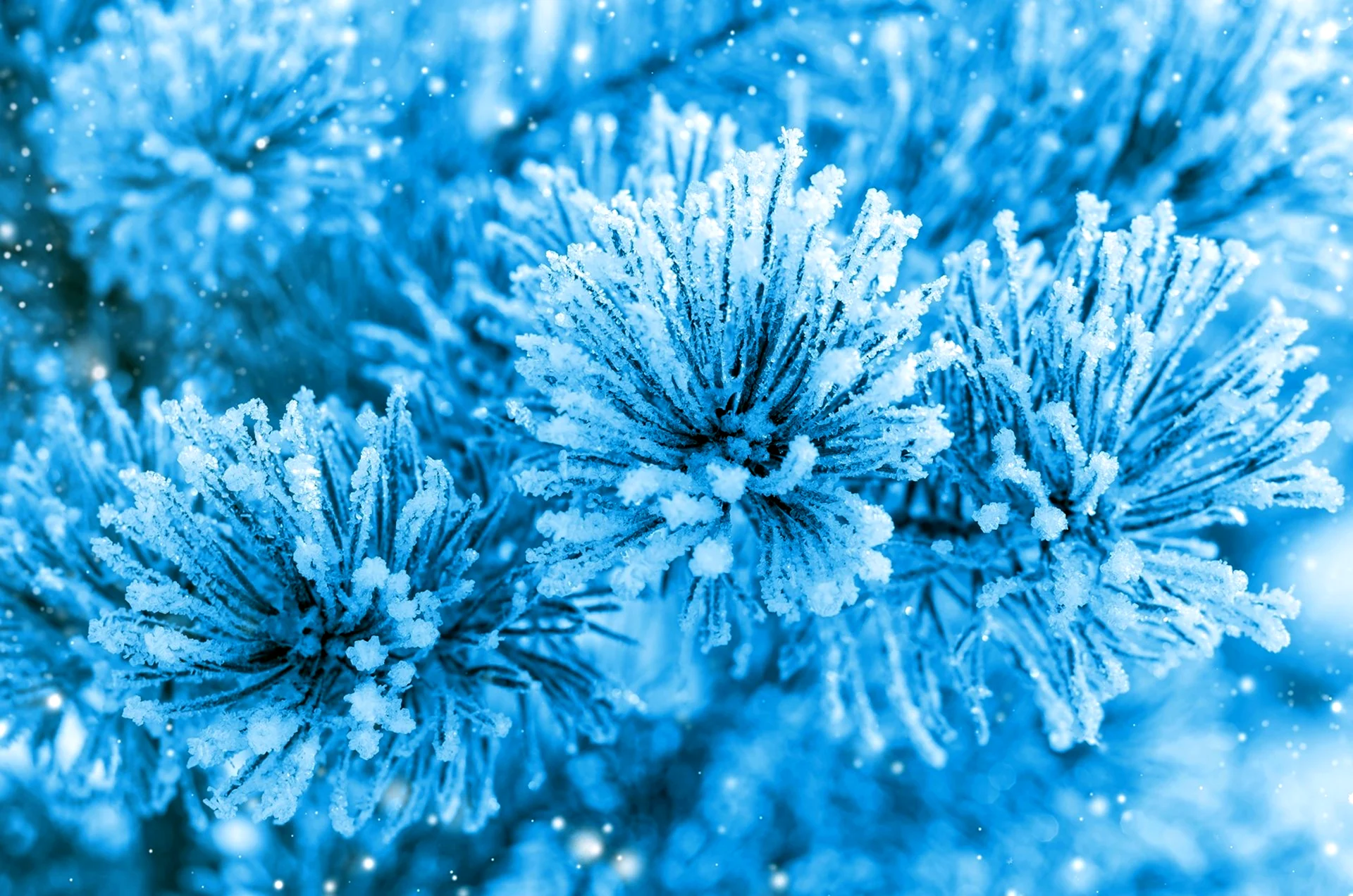 Голубая зима