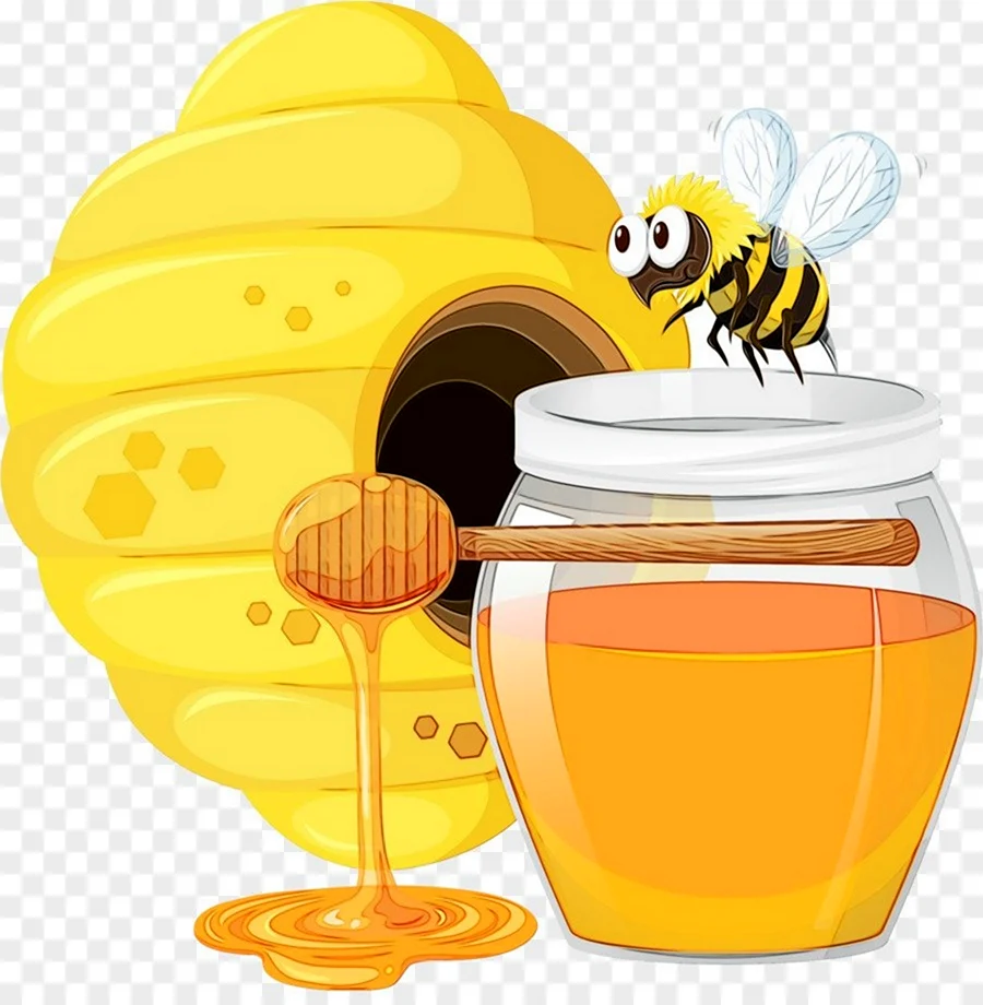 Гречишный мёд пчела
