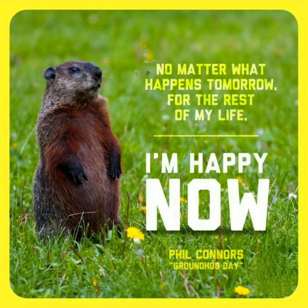 Groundhog Day quotes