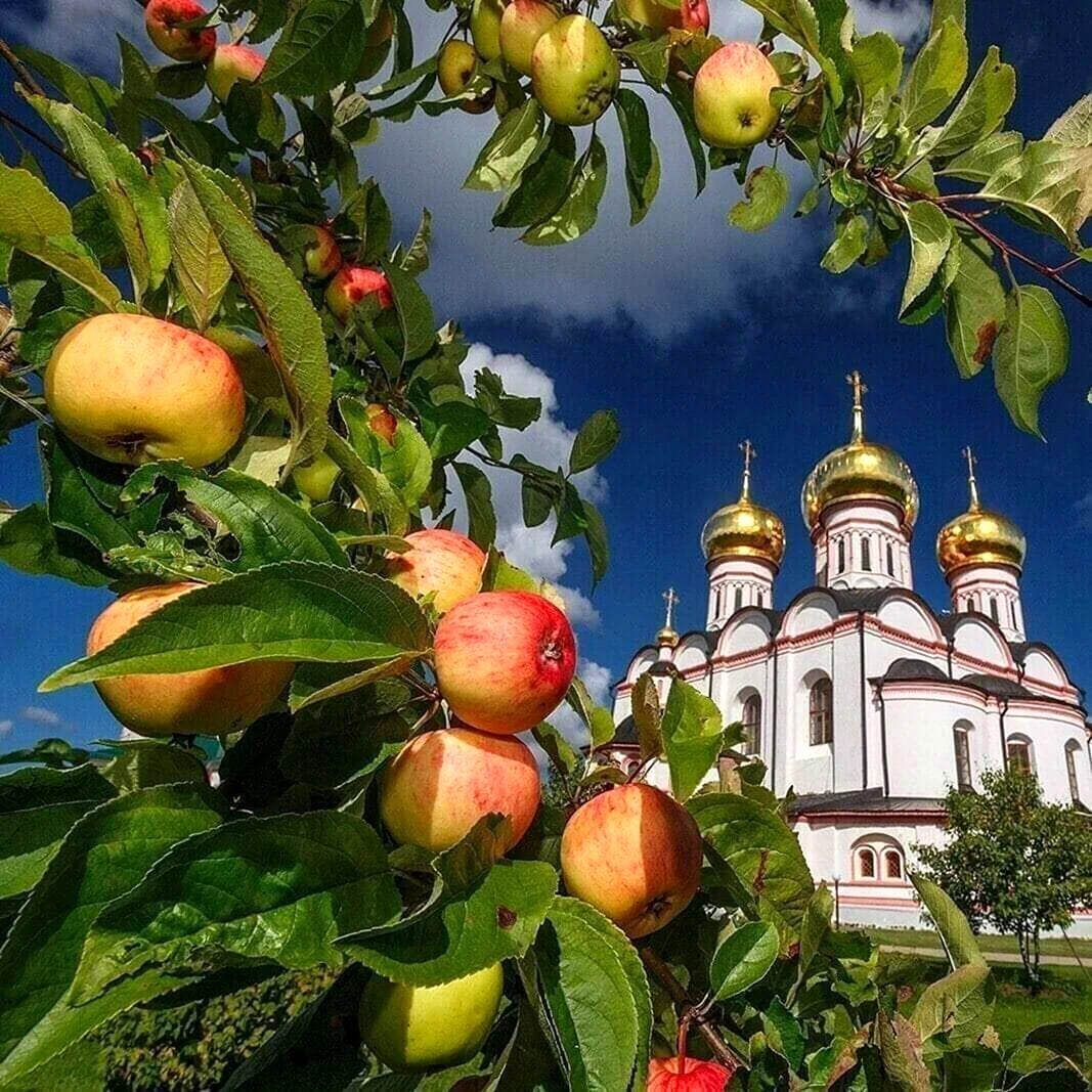 Яблочный спас православный праздник