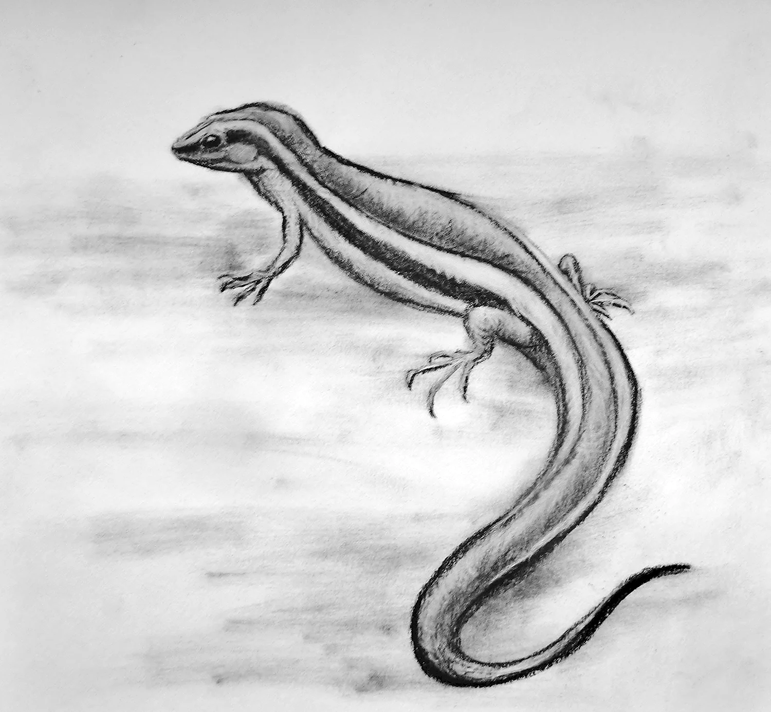 Стилизованный рисунок ящерицы