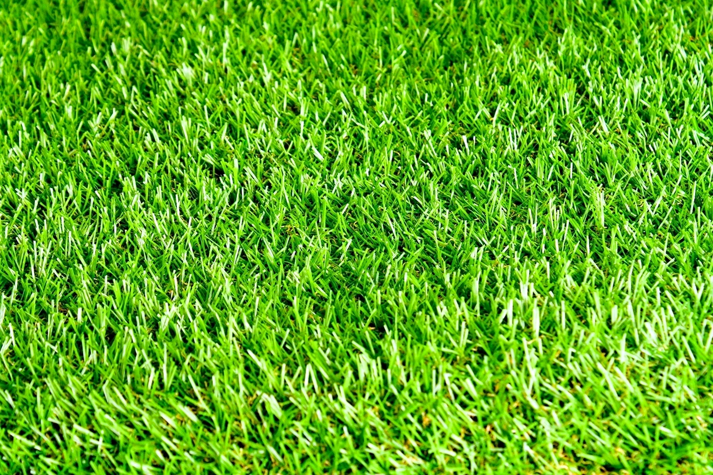 Искусственная трава Мохито 6 мм в рулоне 1х2 м