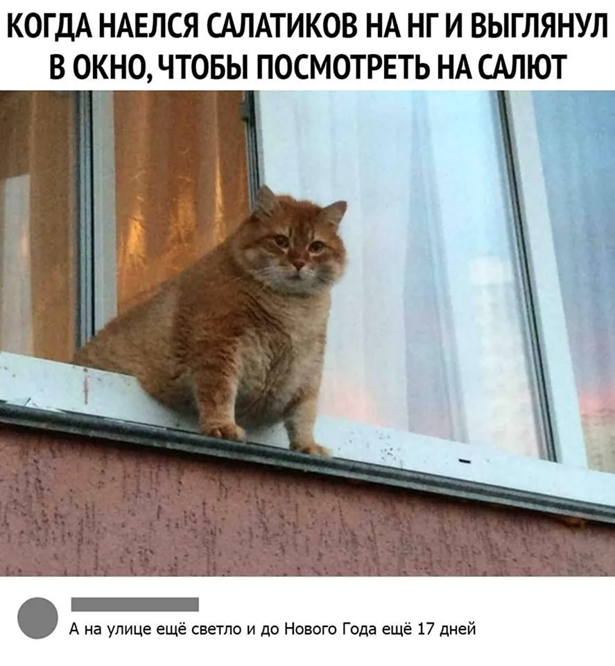 Прикольные открытки про наташу