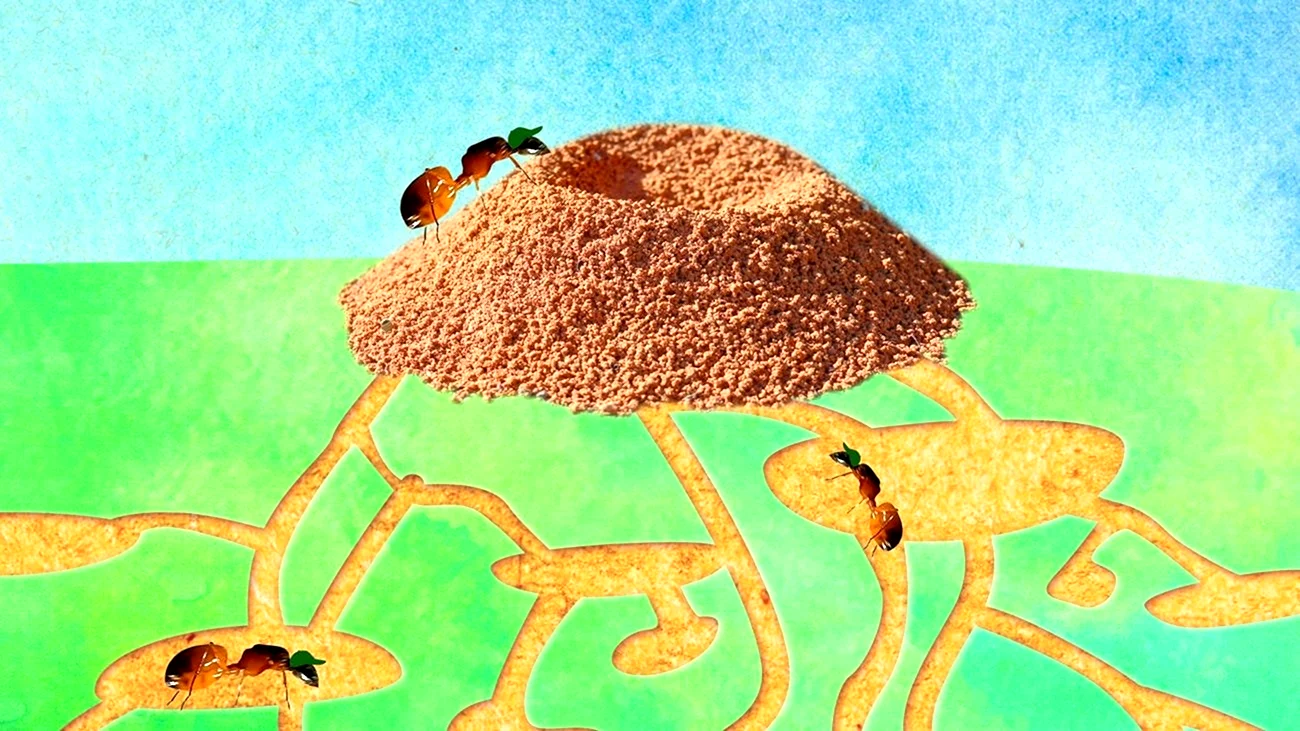 Изображение муравейника