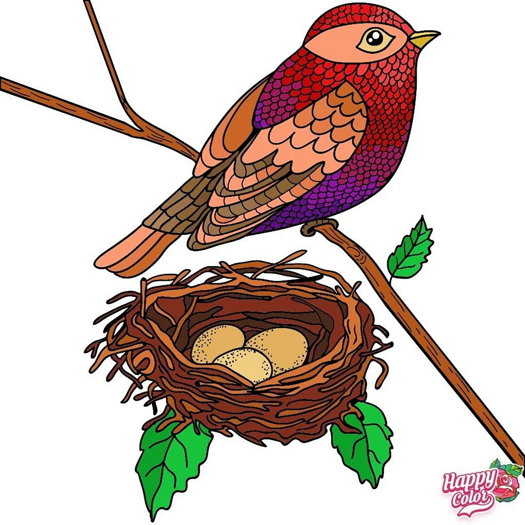 Каким цветом разукрасить гнездо птиц фломастерами