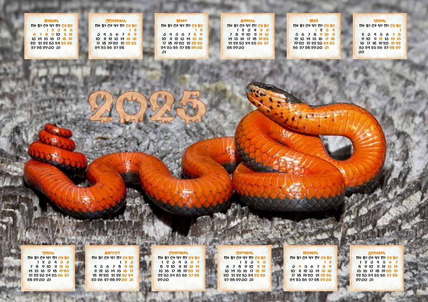 Календарь 2025