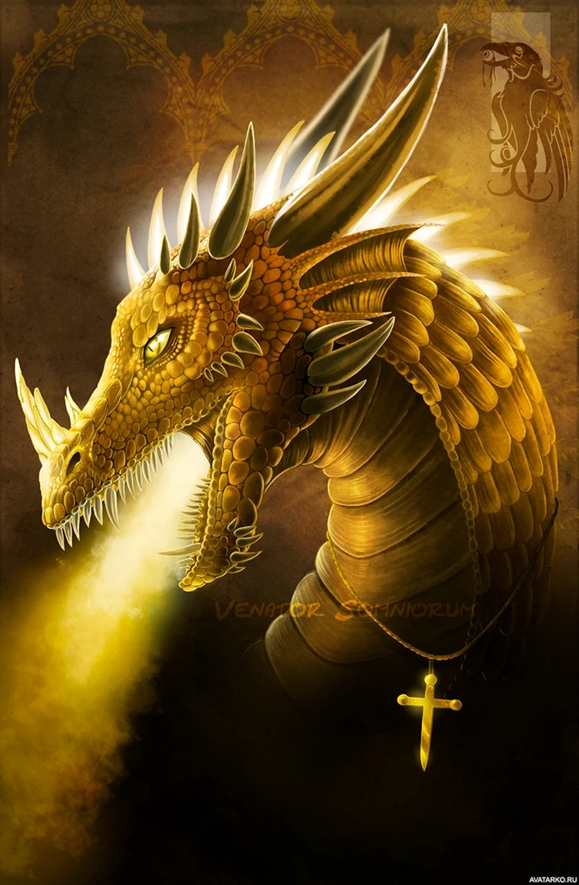 Каллиса золотой дракон