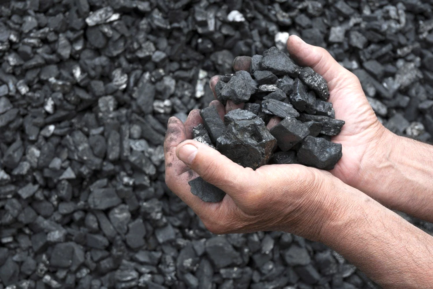 Каменный уголь Донбасса
