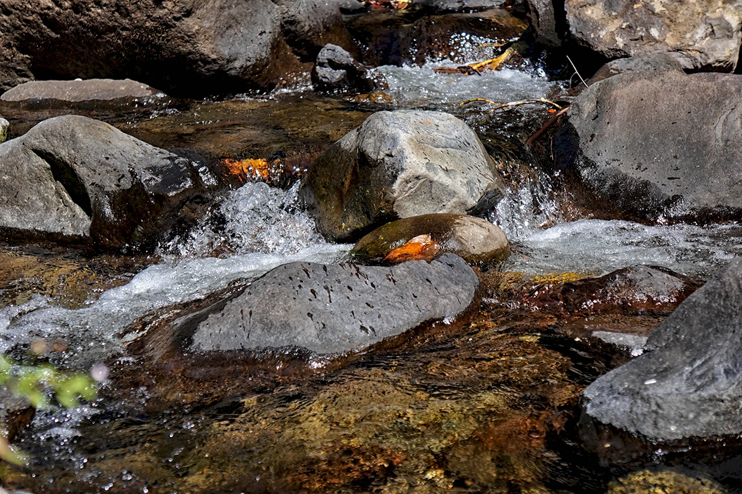 Камни вода ручей