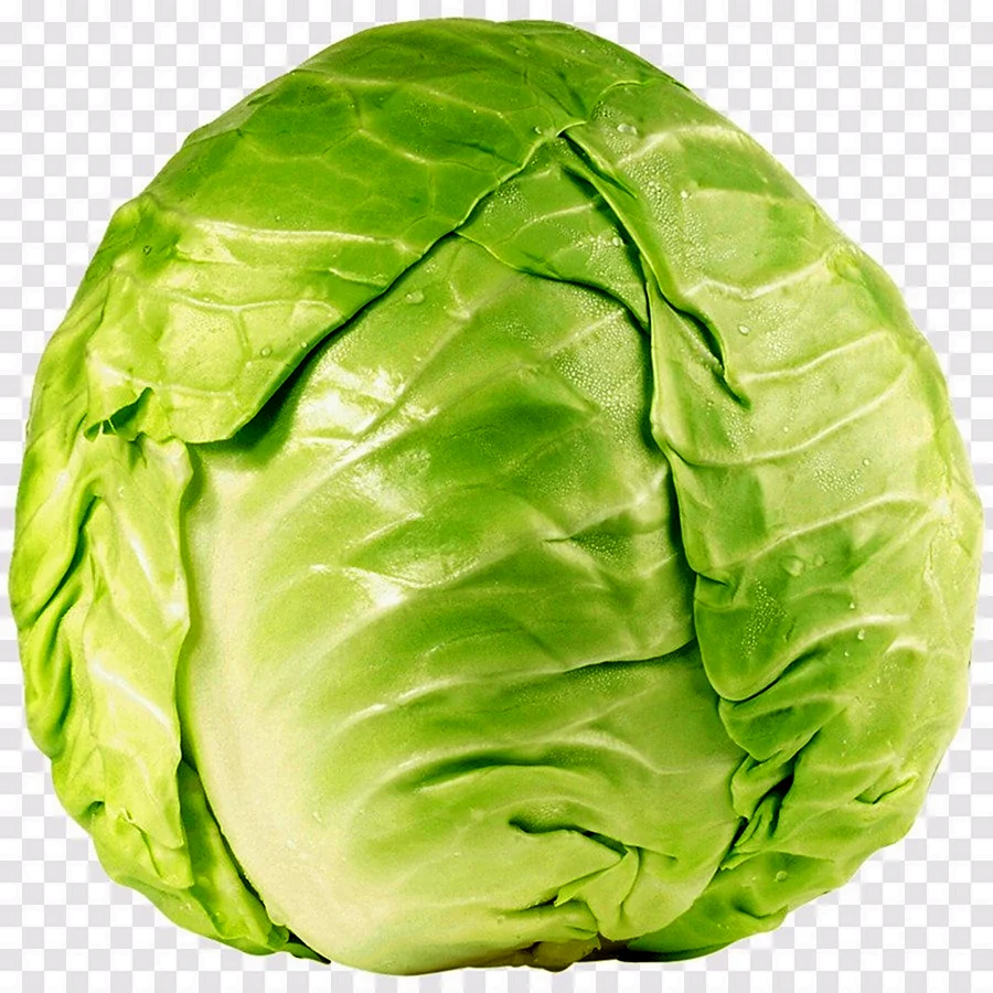 Капуста.Cabbage