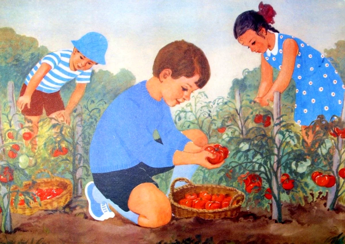 Труженик семьи. Картина уборка овощей Нищева. Сюжетные картины. Сбор урожая. Труд в огороде.
