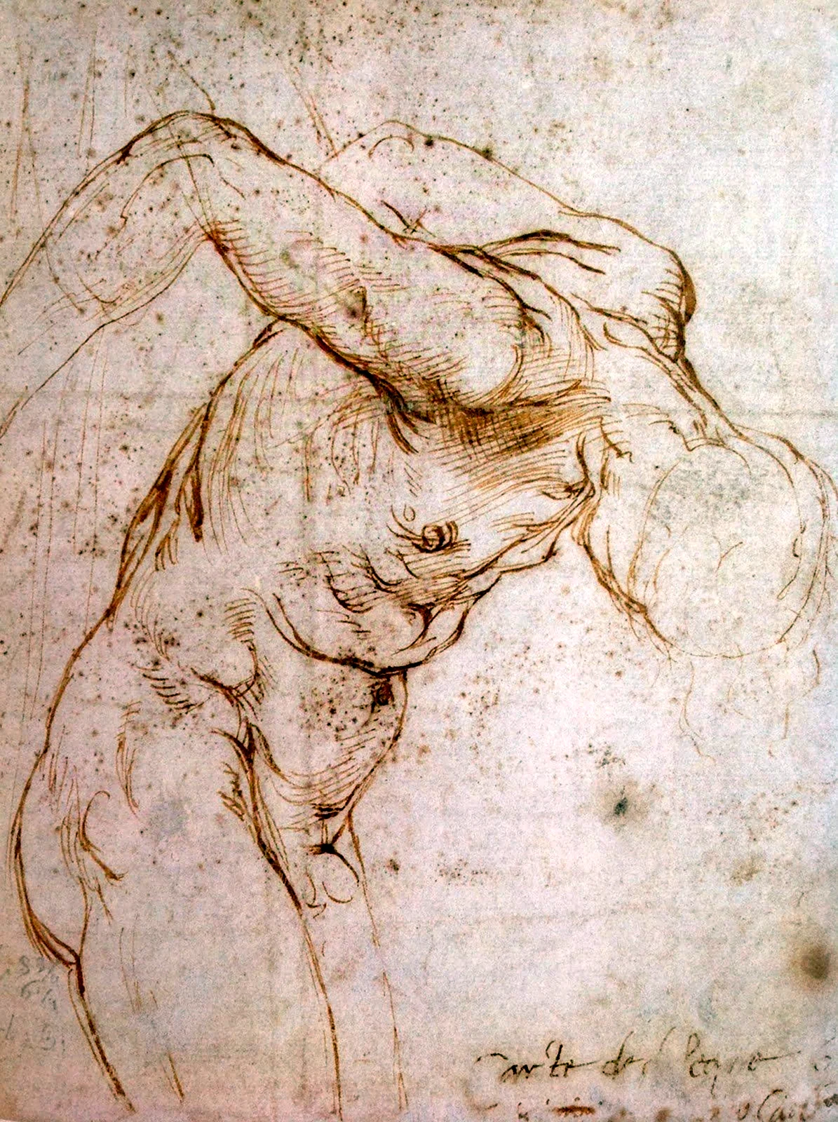Картины эпохи Возрождения Рафаэль Микеланджело