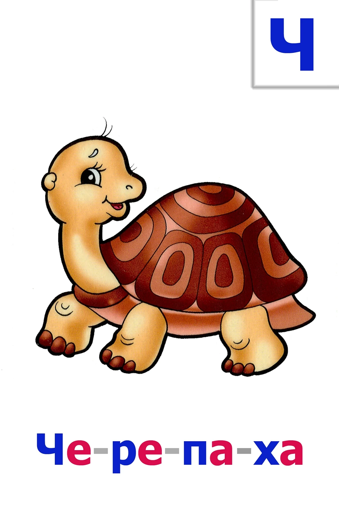 Карточка черепаха для детей