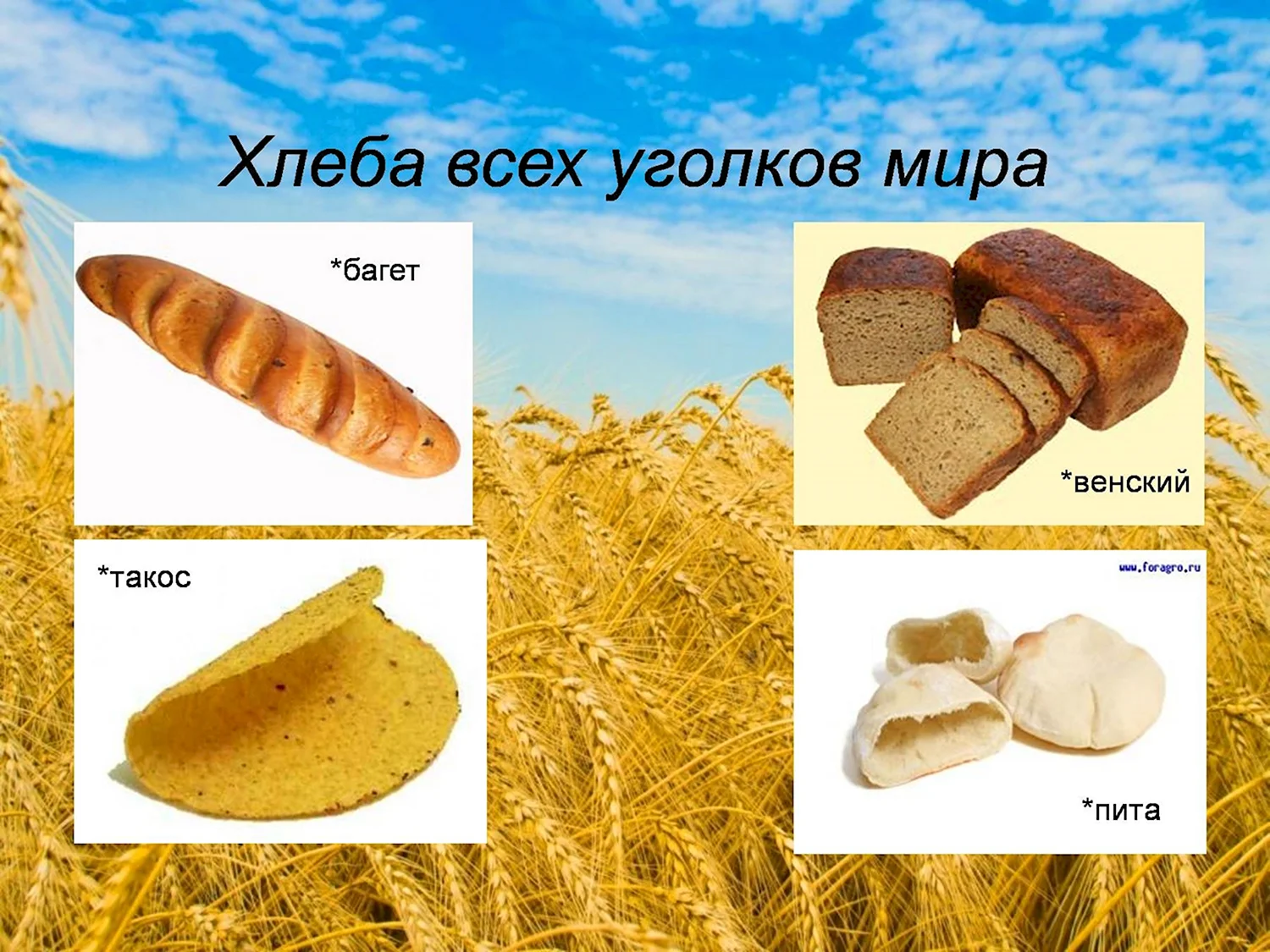 Раскраски из категории Хлеб
