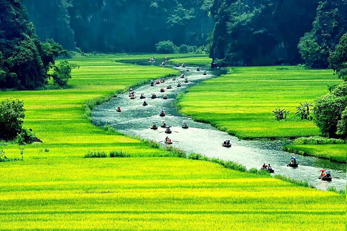 Хоабинь рисовые поля