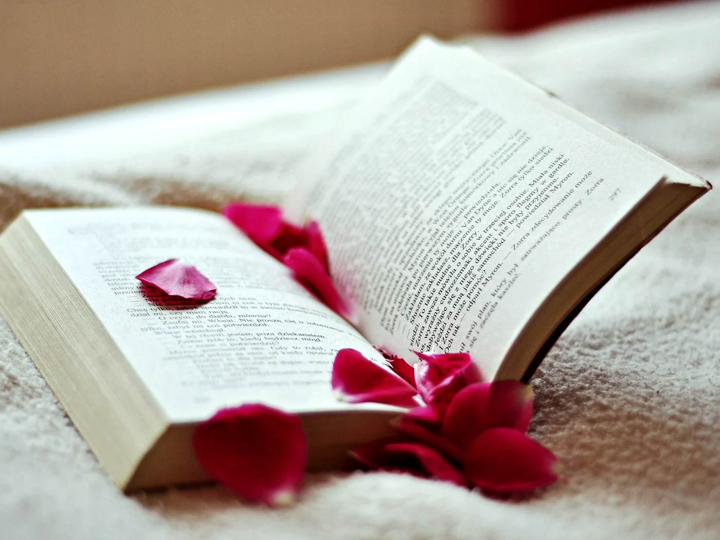 Книги романтика