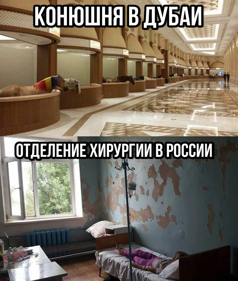 Конюшня в Дубае и больница в России