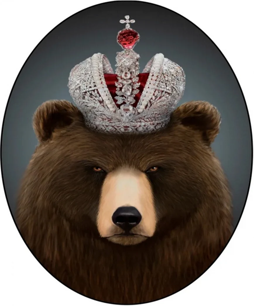 Король медведь