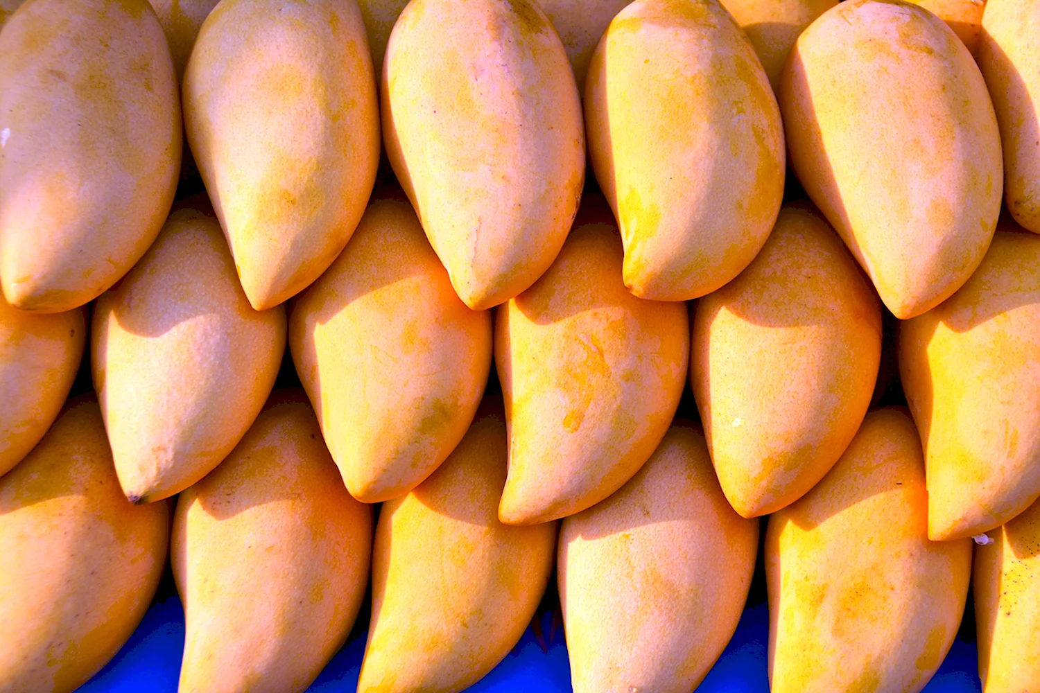 Королевский сорт манго