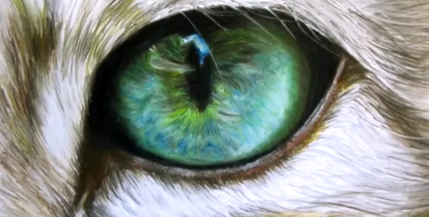 Кошачий глаз арт