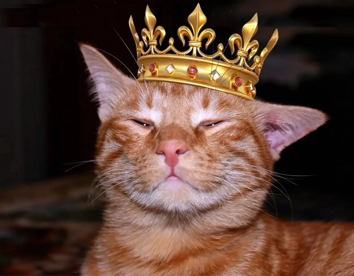 Кошка в короне