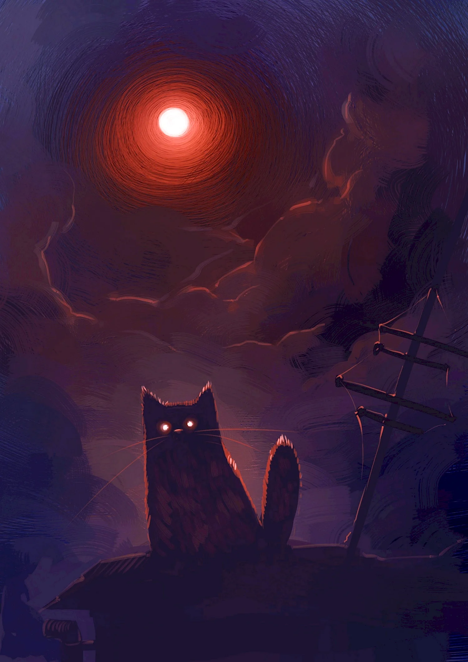 Кот ночью