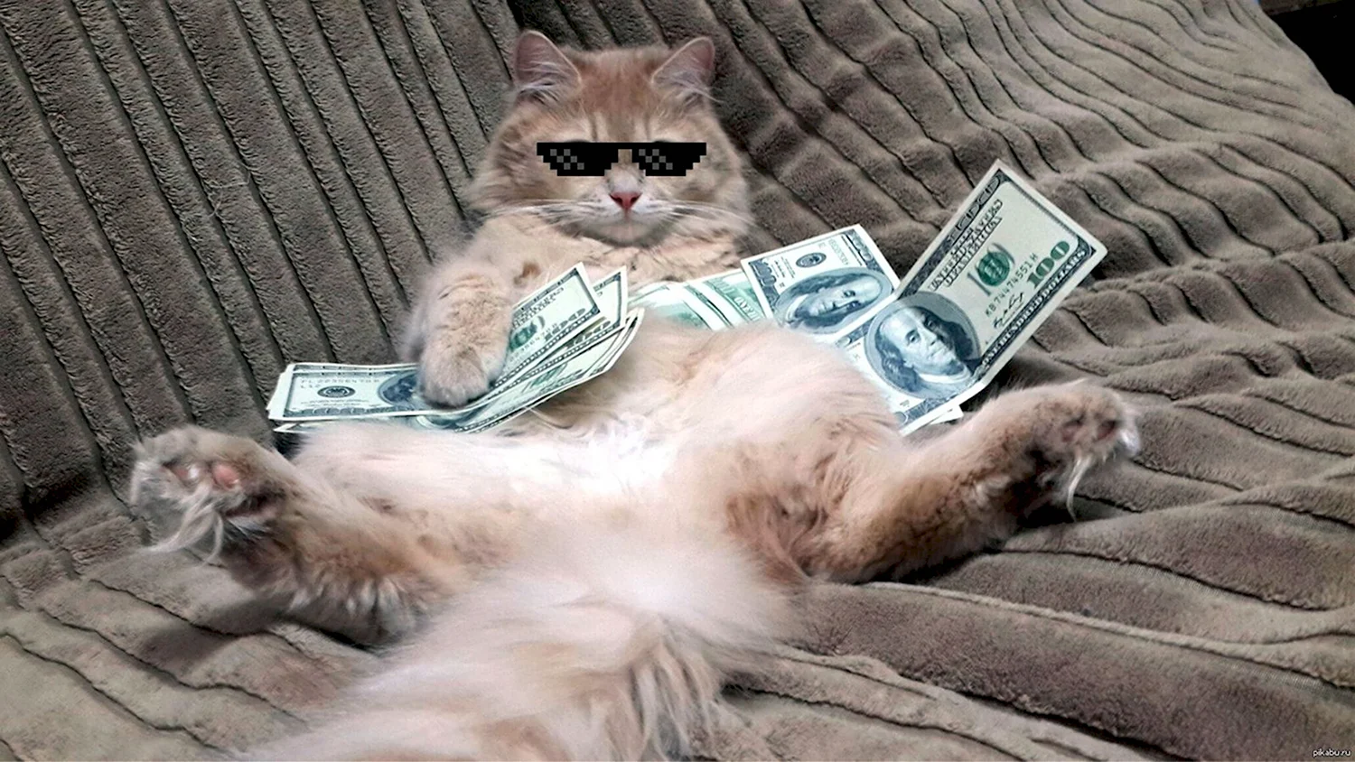 Кот с деньгами Мем