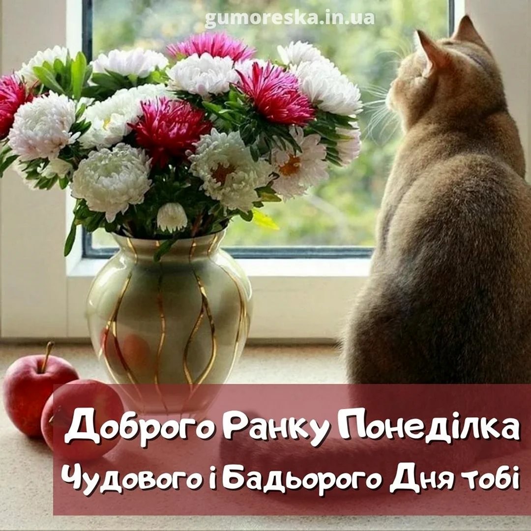 Котик и цветы в вазе