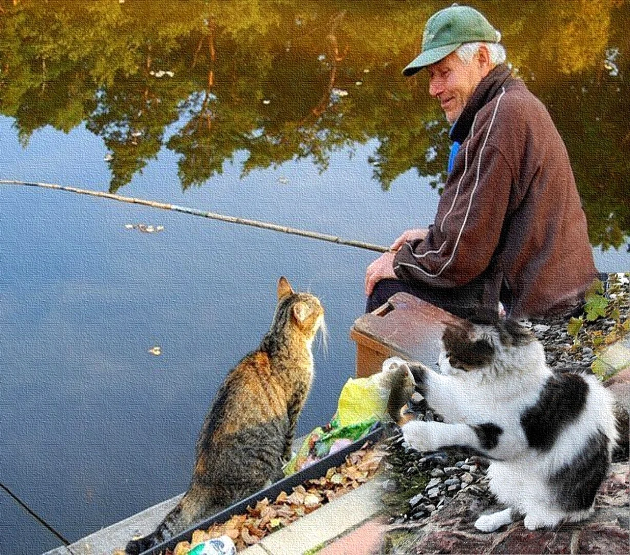 Коты на рыбалке
