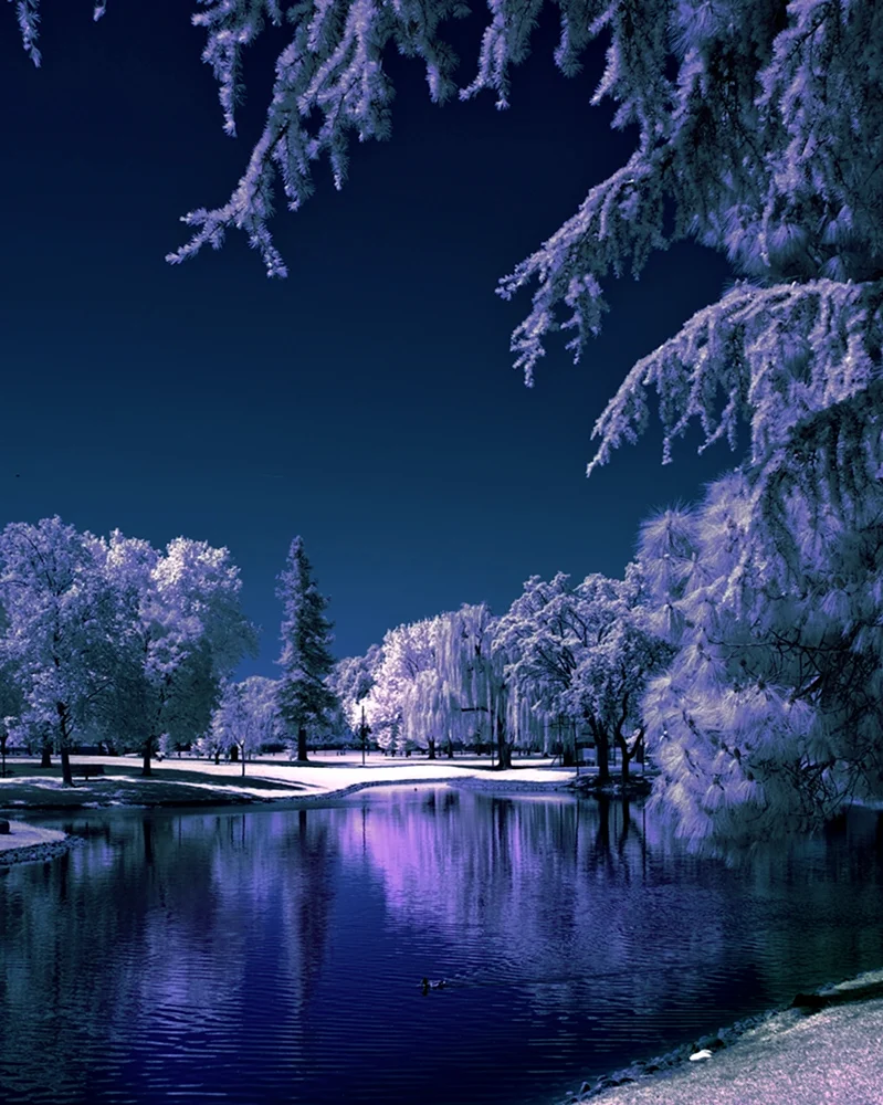 Картинки зима на заставку телефона (71 фото)